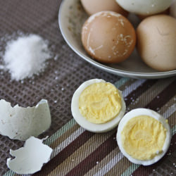 Egg