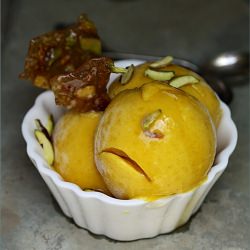 Mango Frozen Yogurt
