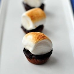 Baby S’mores