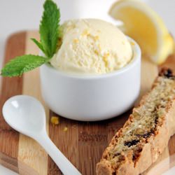 Creamy Lemon Gelato