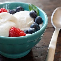 Low Fat Vanilla Bean Frozen Yogurt