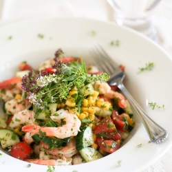 Refreshing Shrimp Salad