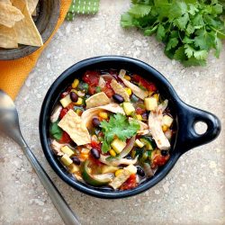 Harvest Chicken Tortilla Soup