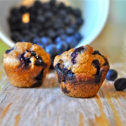 Whole Wheat Blueberry Muffin