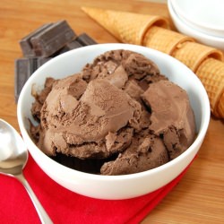 Agave-Sweetened Chocolate Ice Cream