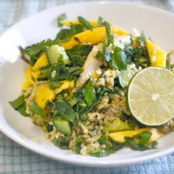Smoked Chicken and Mango Rice Salad