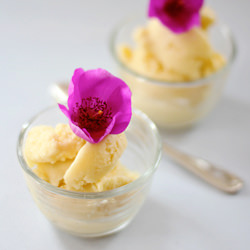 Ginger Peach Yogurt