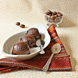 Weigh Watchers Chocolate Sorbet
