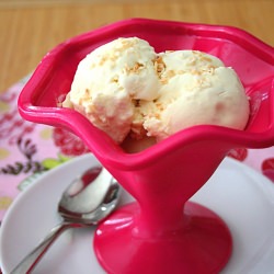 Rum and Coconut Ice Cream