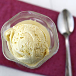 Vanilla Ice Cream
