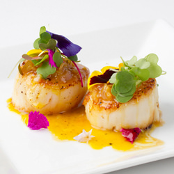 Grilled Scallops