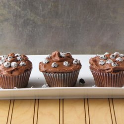 Chocolate Cupcakes with Sour Cream