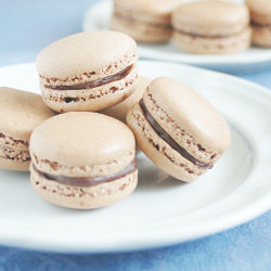 Chocolate Macarons