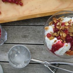 Frozen Yoghurt