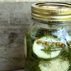 Refrigerator Pickles