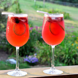 Blueberry Lime Cooler