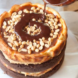 Chocolate Peanut Butter Cheesecake