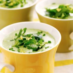 Vichyssoise Soup Recipe