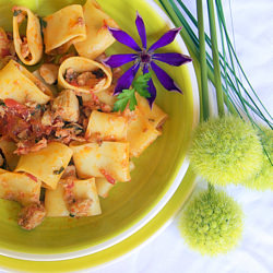 Calamarata with Fresh Tuna