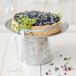 Wild Blueberry Pie