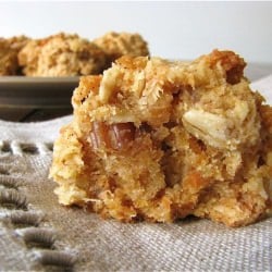 Carrot Cake Oat Macaroons