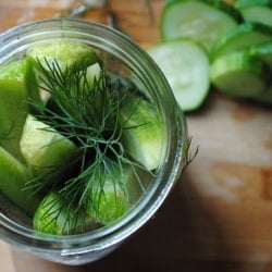 Easy Garlic Dill Fridge Pickles