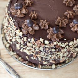 “Expressive” Chocolate Mocha Cake