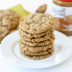 Biscoff Oatmeal Cookies