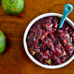Blueberry Salsa