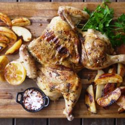 Spiced Flattened Chicken