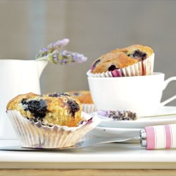 Blueberry Muffins