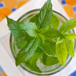Mint Water