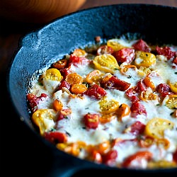 Roasted Tomatoes with Fontina
