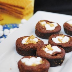 Individual S’mores Brownies