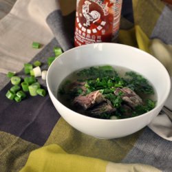 Brothy Beef Short Ribs