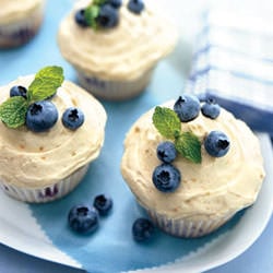 Blueberry Hill Cupcakes