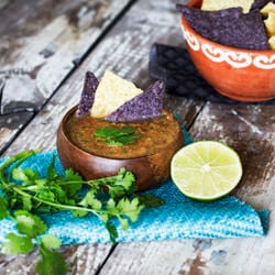 Spicy Garden Salsa