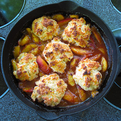Peach & Nectarine Cobbler