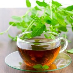 How to Make Mint Tea
