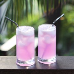 Pink Dragon Fruit Soda