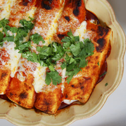 Gringo Chicken Enchiladas