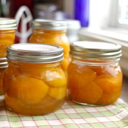 Canned Apricots in Honey Syrup
