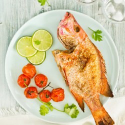 Grilled Red Snapper