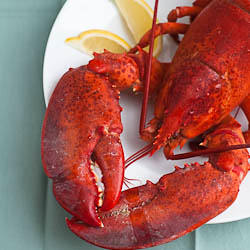How to Cook and Eat a Whole Lobster