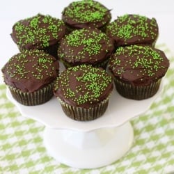 Chocolate Zucchini Cupcakes