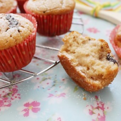 Muffins