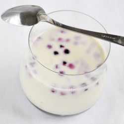 Panna Cotta with Blueberries
