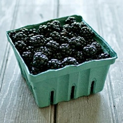 Blackberries in Vanilla Custard