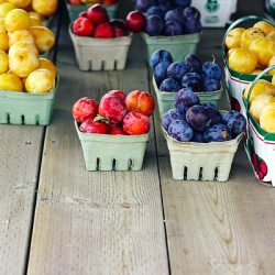 Plum Cobbler