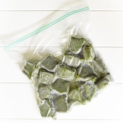 Basil Pesto